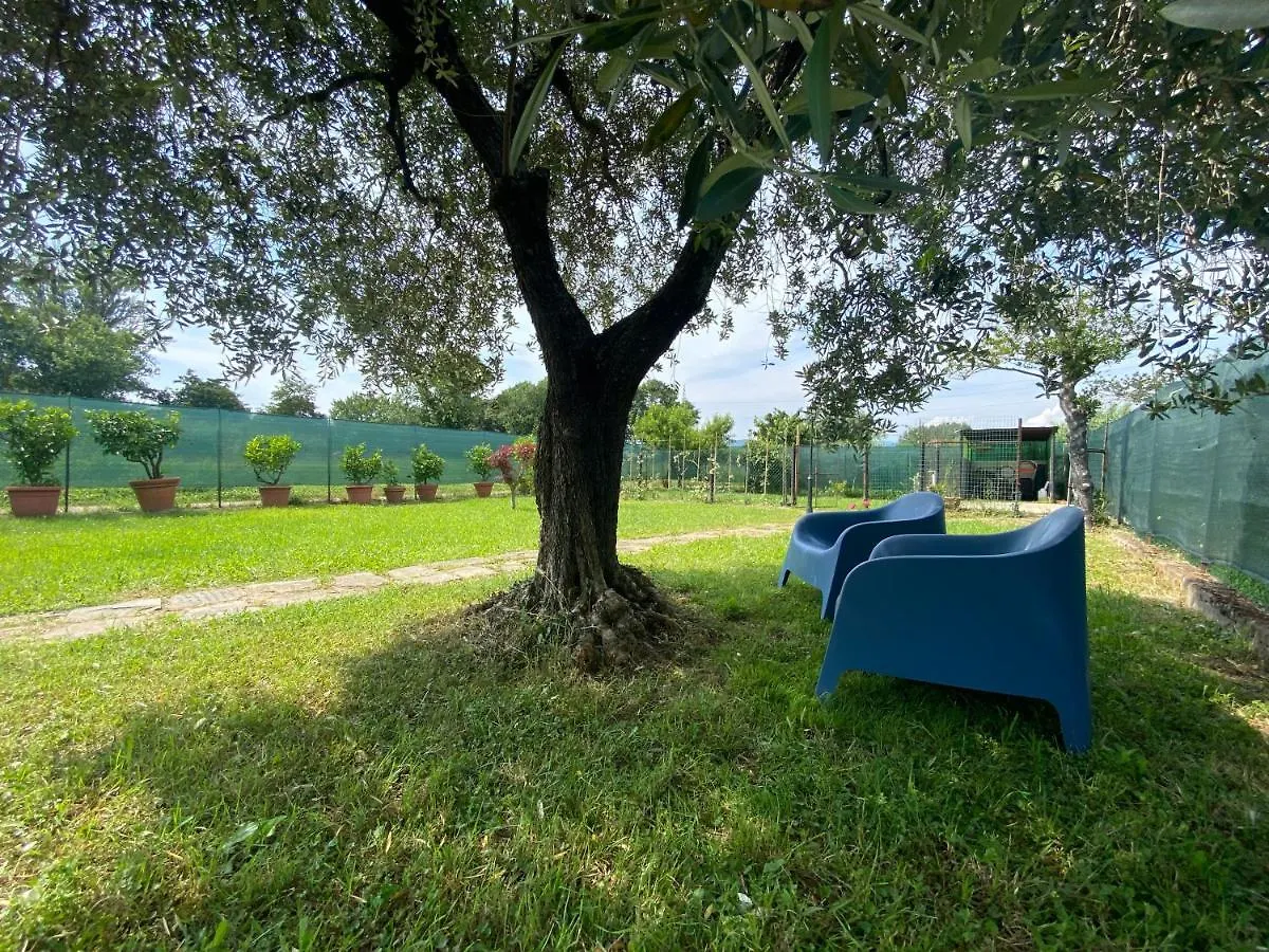 Casa Marcobando Villa Lucca 0*,